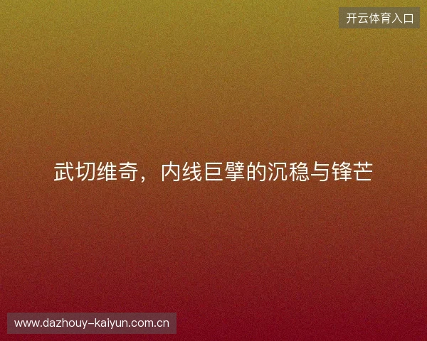 武切维奇，内线巨擘的沉稳与锋芒